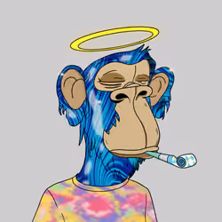 Elder Apes Yacht Club #222
