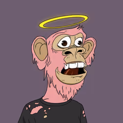 1241