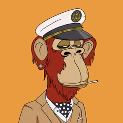 Elder Apes Yacht Club #1151
