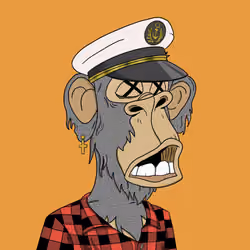 Elder Apes Yacht Club #3246