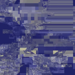 Digital Oil