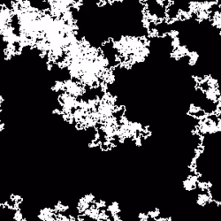 Amaranthine Cadence 229