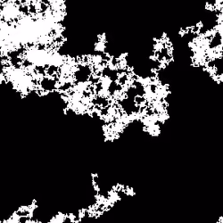 Roseate Resonance 19