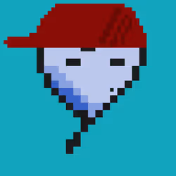 81