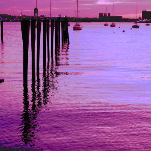 Purple Harbor