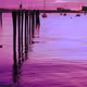 Purple Harbor