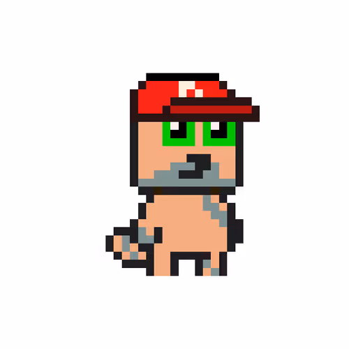 The Doge Experiment