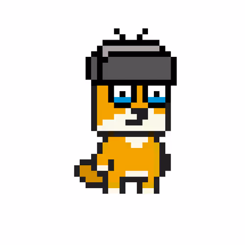 The Doge Experiment
