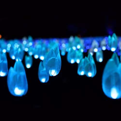 SoCaliKicks Editions