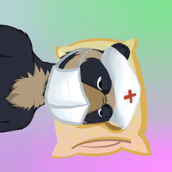 LFGOkayBears #110