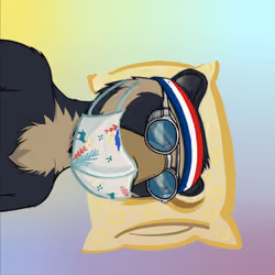LFGOkayBears #1423