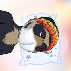 LFGOkayBears #1497