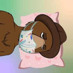 LFGOkayBears #416
