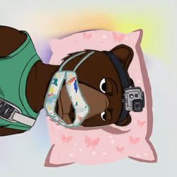 LFGOkayBears #323