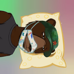 LFGOkayBears #1337