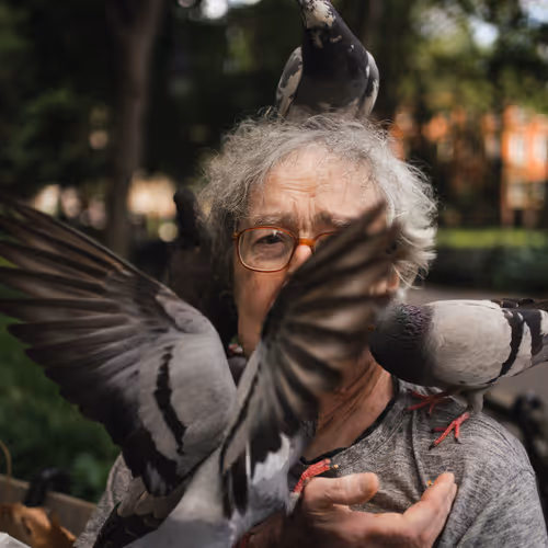 Nyc Wildlife By Jeremy Cohen