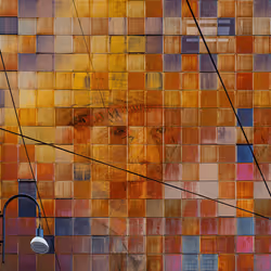 Vincent #994