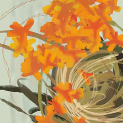 Impasto #117