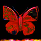 Butterfly - iOFmPTTMyC