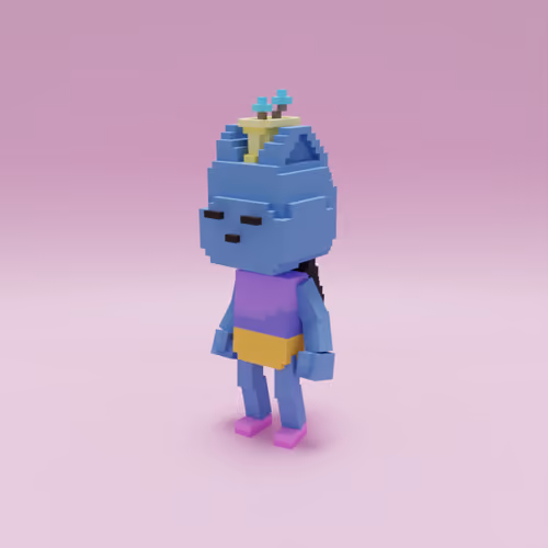 VOX Coodle #36
