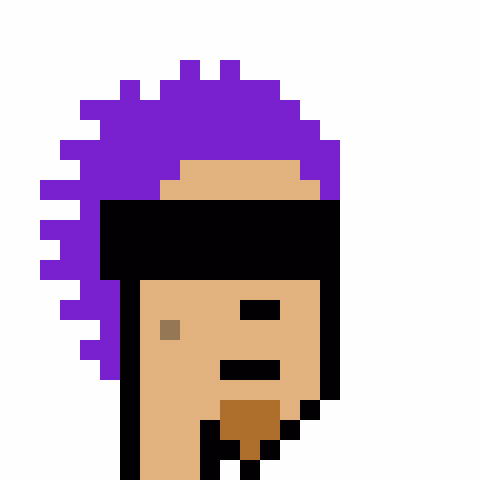 Redacted Punks