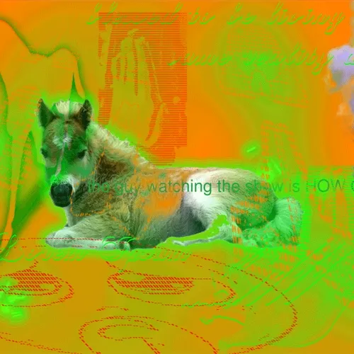 Unidentified Contract 2892