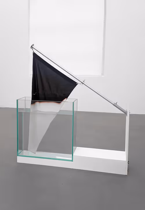 Item #2312280603 Media