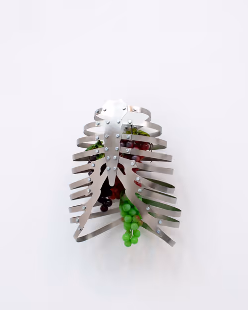 Item #4166042789 Media