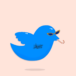 Twitterbirds #3262