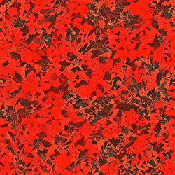 426