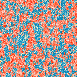 262