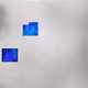 244