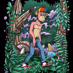First Trip #17/55
