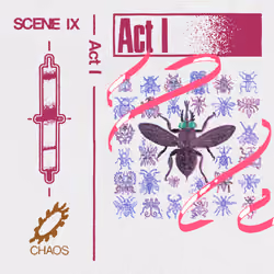 Chaos #3005 - Chaos