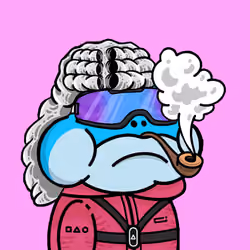 retropepe 2428
