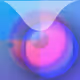 81