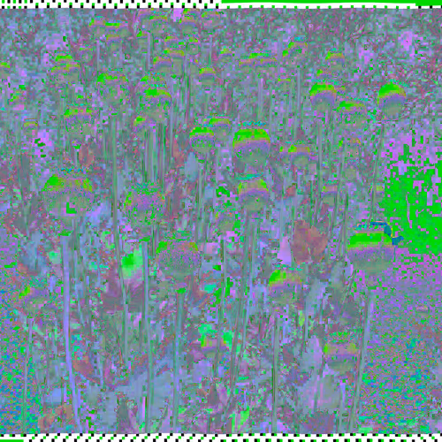 Coordinates Travess Smalley