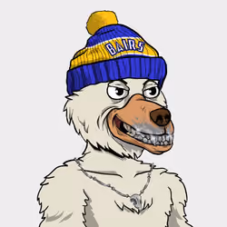 Immortan Bair