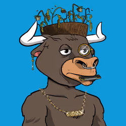 MC Bula