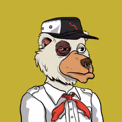 Tony Bolo