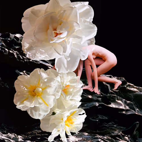 Flowermania #5