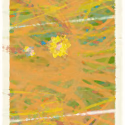 SKY MEADOW #517