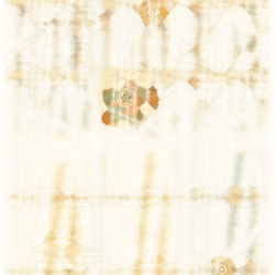 SKY MEADOW #13