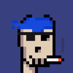 Menacing Punk #895