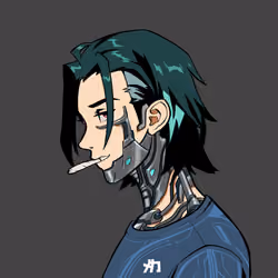 Mekazuki #2537
