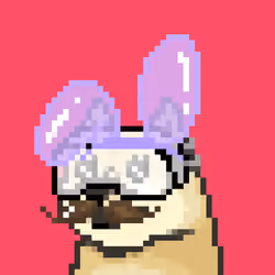 dogedogedoge #337