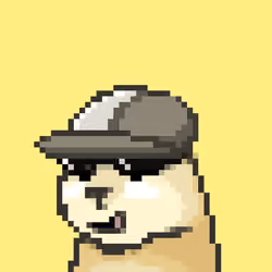 dogedogedoge #521
