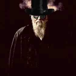 THE COLLECTOR