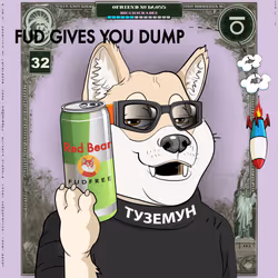 12055
