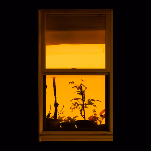 WINDOW 789